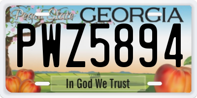 GA license plate PWZ5894