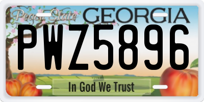 GA license plate PWZ5896