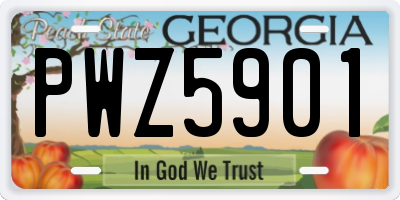 GA license plate PWZ5901