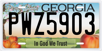 GA license plate PWZ5903