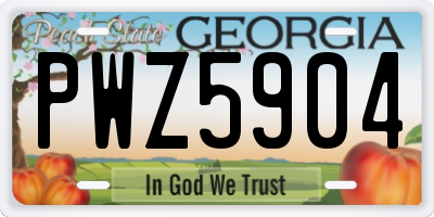 GA license plate PWZ5904