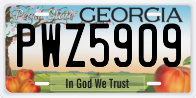 GA license plate PWZ5909