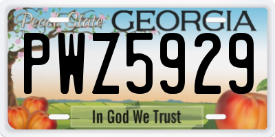 GA license plate PWZ5929