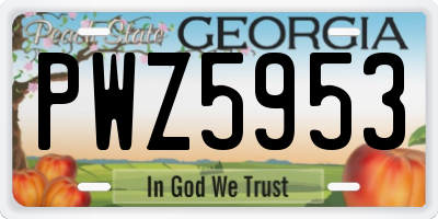 GA license plate PWZ5953
