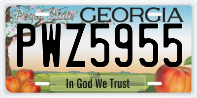 GA license plate PWZ5955
