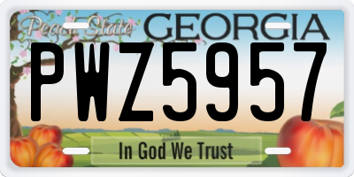 GA license plate PWZ5957
