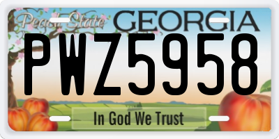 GA license plate PWZ5958