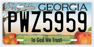 GA license plate PWZ5959