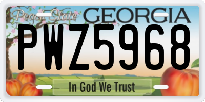 GA license plate PWZ5968