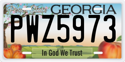 GA license plate PWZ5973