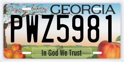 GA license plate PWZ5981