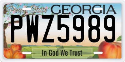 GA license plate PWZ5989
