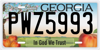 GA license plate PWZ5993