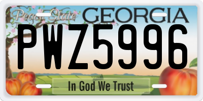 GA license plate PWZ5996