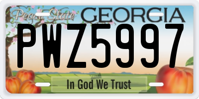 GA license plate PWZ5997