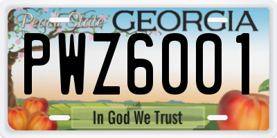 GA license plate PWZ6001
