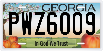 GA license plate PWZ6009