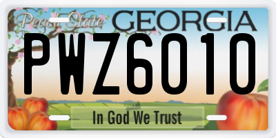 GA license plate PWZ6010