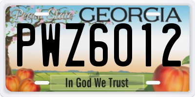 GA license plate PWZ6012