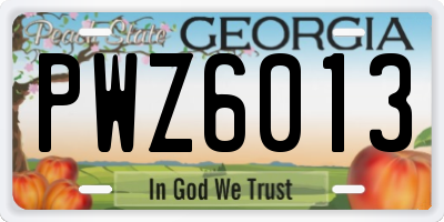 GA license plate PWZ6013