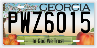 GA license plate PWZ6015