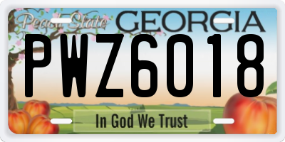 GA license plate PWZ6018