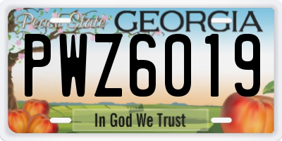 GA license plate PWZ6019
