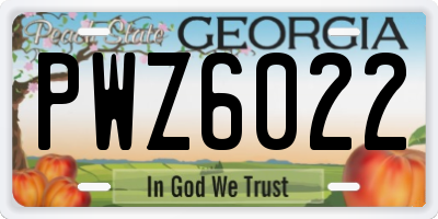 GA license plate PWZ6022