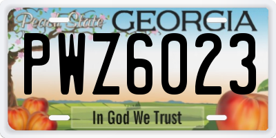 GA license plate PWZ6023