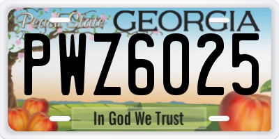 GA license plate PWZ6025