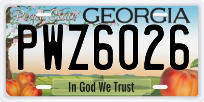 GA license plate PWZ6026