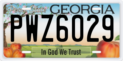 GA license plate PWZ6029