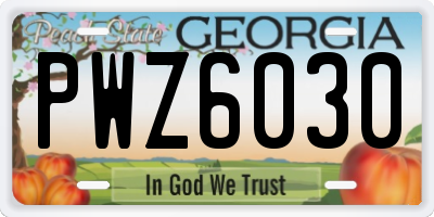 GA license plate PWZ6030