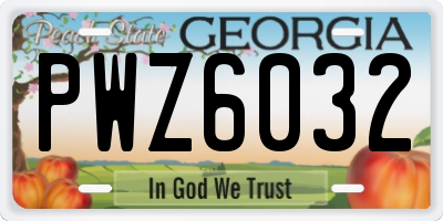 GA license plate PWZ6032