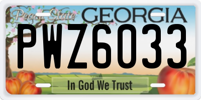 GA license plate PWZ6033