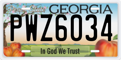 GA license plate PWZ6034