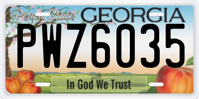 GA license plate PWZ6035