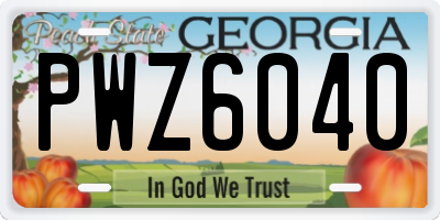 GA license plate PWZ6040
