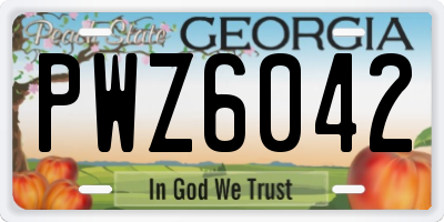 GA license plate PWZ6042
