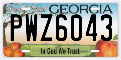 GA license plate PWZ6043