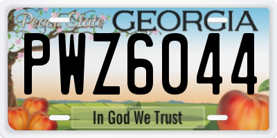 GA license plate PWZ6044