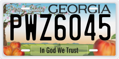 GA license plate PWZ6045