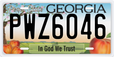GA license plate PWZ6046