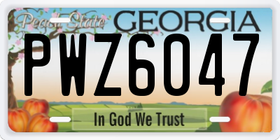 GA license plate PWZ6047