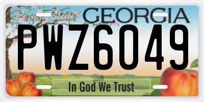 GA license plate PWZ6049