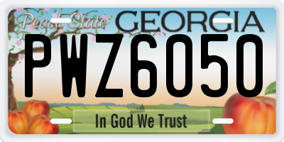 GA license plate PWZ6050