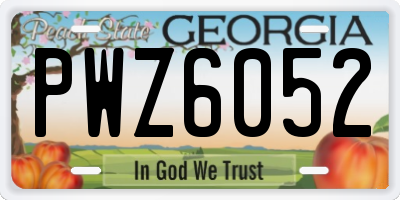 GA license plate PWZ6052