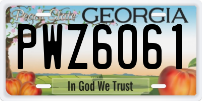 GA license plate PWZ6061