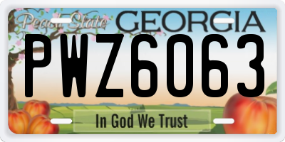 GA license plate PWZ6063