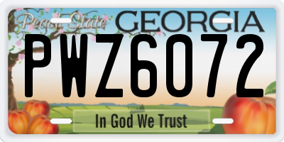 GA license plate PWZ6072